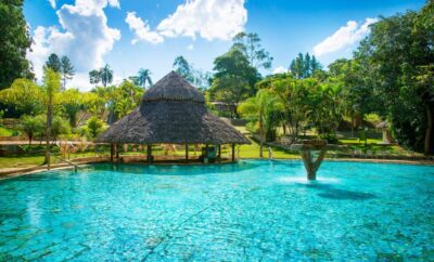 Rio Quente Resorts – Eco Chalés